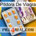 Píldora De Viagra new12